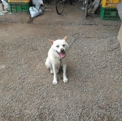 tanakendes's profile picture. 自称オタク人間  フロム/モンハン/ガンダム/遊戯王 等
好きなもの呟いています