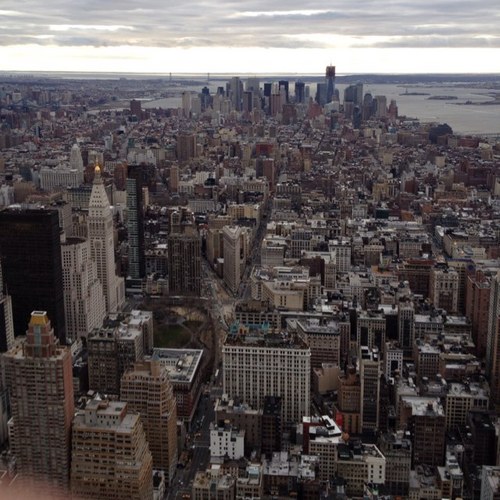 PochartTeddy's profile picture. 