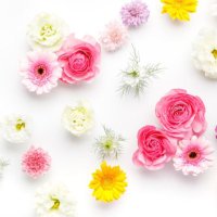 きい@お取引用 (@ms_drop323) 's Twitter Profile