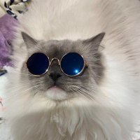 あ (@hanjin_cutie) Twitter profile photo