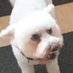 Nigel Smith (@nigelsmith65780) Twitter profile photo Nigel Smith (@nigelsmith65780) Twitter profile photo