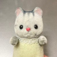 みやこ(@myyktkcch) 's Twitter Profile Photo