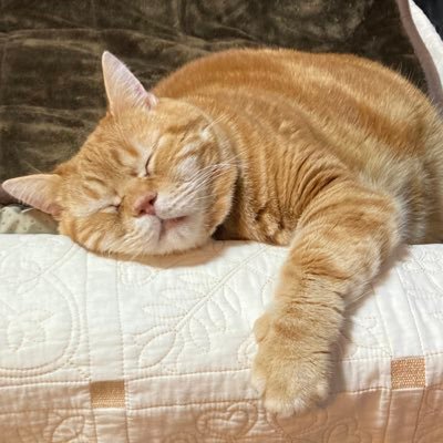 Kaikun4146's profile picture. 