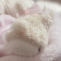 とど (@tori_hori99) 's Twitter Profile