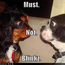 Edrick jan Diaz - @EdrickjanDiaz1 - Twitter