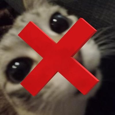 Un jour Gandalf va mourir 🤲❌🐈🧙‍♂️