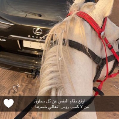 woid_1's profile picture. 