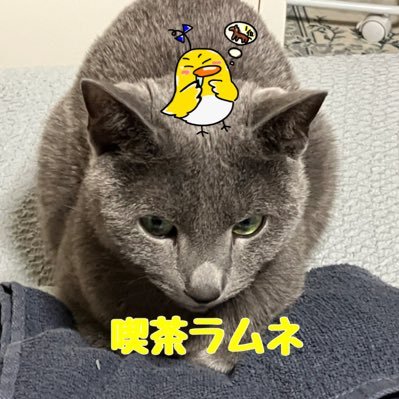 女店主ラムネです。カフェ経営してます☕️ お客さんと一緒に競馬予想♪ 猫のロシタン飼ってます！「バイトリーダーＮ」を新採用し喫茶店業務をやらせながら、ご存知「前日重賞コラム」も書かせてますw リアル安室透だね♪喫茶店と競馬の二刀流で頑張ります！みんなで楽しく高収益追求！ガチでやってるので応援よろしくお願いします ！