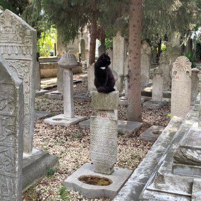 Ismailoğlu Pasha Profile