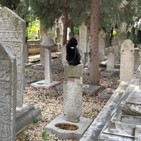 Ismailoğlu Pasha (@ismailogluf) 's Twitter Profile