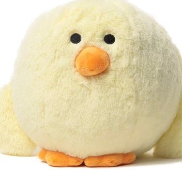 Fmdtwtp's profile picture. 