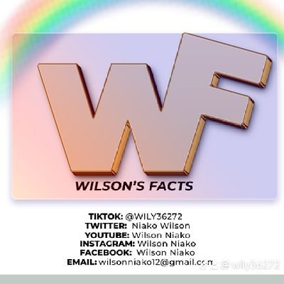 NiakoW's profile picture. Wilson Niako