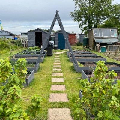 20 years enjoying  our allotment plot and our home wildlife garden. I buy seeds like there is no tomorrow #self sufficiency #no dig #allotment