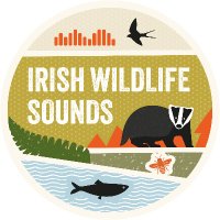 Irish Wildlife Sounds(@SoundsIrish) 's Twitter Profile Photo