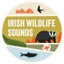 Irish Wildlife Sounds (Seán Ronayne) (@SoundsIrish) Twitter profile photo