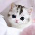 😺 (@kentinlangg) Twitter profile photo 😺 (@kentinlangg) Twitter profile photo