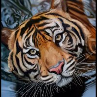 serdar (@beyali0035) Twitter profile photo