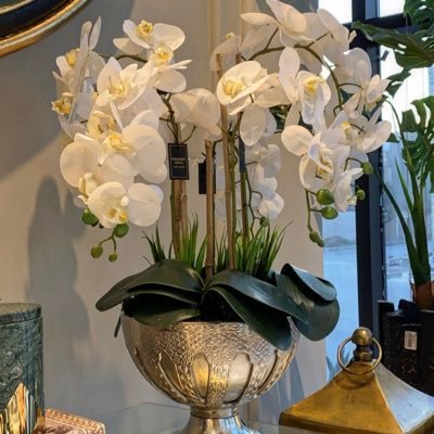 Beeflylondon's profile picture. classic