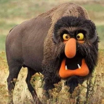 FreeSpeechSilva's profile picture. American Human.