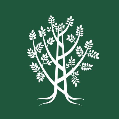 TBE is a vibrant community engaged in learning, spirituality, music, and caring for each other in joy & sorrow, for Israel and the world.