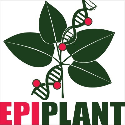 Since 2019, the EPIPLANT Thematic Network aims to federate the scientific community studying plant epigenetics. Powered by @CNRS.