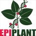 GDR EPIPLANT (@epiplant) Twitter profile photo GDR EPIPLANT (@epiplant) Twitter profile photo