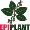 epiplant's profile picture. Since 2019, the GDR EPIPLANT aims to federate the scientific community studying plant epigenetics. Powered by @CNRS.