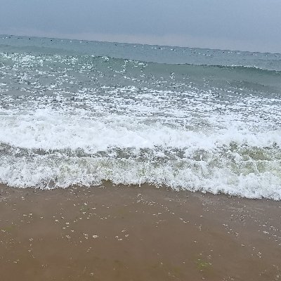 wyuxinrn195610's profile picture. 0535莱山大学单.19.187.82kg.15cm.活动过几次