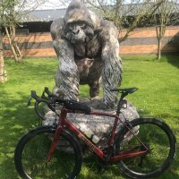 Richard S (@stokesy1966) 's Twitter Profile Photo Richard S (@stokesy1966) 's Twitter Profile Photo
