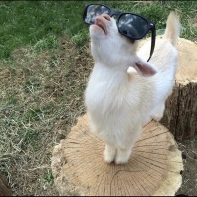 OGGOAT Profile