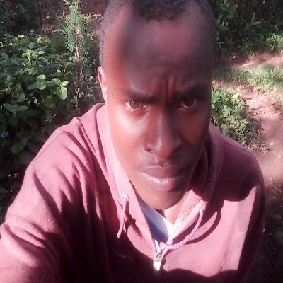 Keva4375's profile picture. web developer