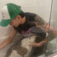steven duong (@boneless_koi) 's Twitter Profile Photo steven duong (@boneless_koi) 's Twitter Profile Photo