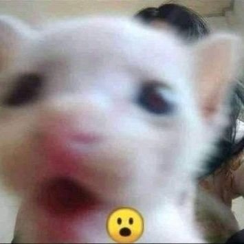 Diamond58052787's profile picture. ayuda