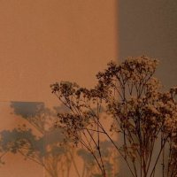 Kübra Ay (@usfure) Twitter profile photo