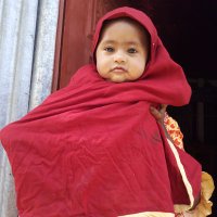 Anamul Haque (@anamul568294) 's Twitter Profile