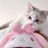 lilpippppp's profile image