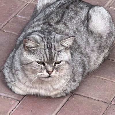 Becauseboy1's profile picture. Like