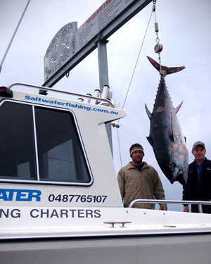 Dedicated fishing charter & guide service operating from Port Phillip Bay Melbourne & Portland Victoria.  Latest fishing reports, promotions & packages.