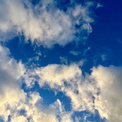 reese37743890's profile picture. 