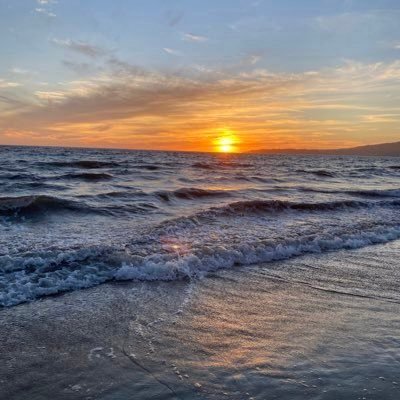 madigo25's profile picture. skating & gymnastics fan ⛸ 🤸🏻‍♂️. cat lover. jets fan ✈️ 🕊️rip alex paul🕊️