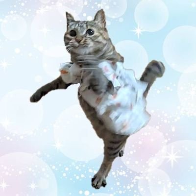 nimugeromichan's profile picture. 不妊治療2020/12開始🐑40💫
夢クリ→はら🏥治療中
採卵10回🥚
移植①化学流産
移植②⑤稽留流産
移植③④⑦⑧✖
移植⑥PGTA正常胚✖
💉TRIO、フローラ、CD138、不育検査済　、自費採卵pgt
無言フォロー失礼します🙇🏻‍♀️