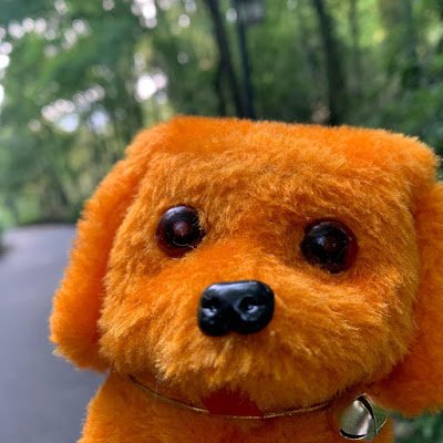 Nelson349628095's profile picture. 