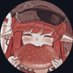 🥀 ~𝒶𝓇𝓌ℯ𝓃~🥀 (@elfygreen) Twitter profile photo
