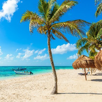 osgama899's profile picture. 