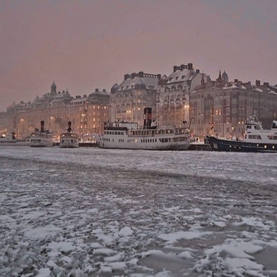 GertMarkstrm's profile picture. 