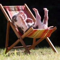 B Holl (@bholl83918096) 's Twitter Profile