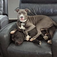 Bubba's truth! (@bubbastruth) 's Twitter Profile Photo Bubba's truth! (@bubbastruth) 's Twitter Profile Photo