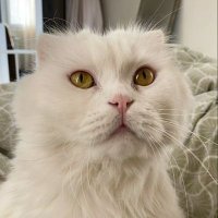 makarina (@partiiptal) Twitter profile photo