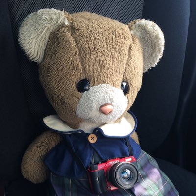 loveteddybear7 Profile Picture