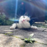 Jan Quehenberger (@janquehenberger) 's Twitter Profile